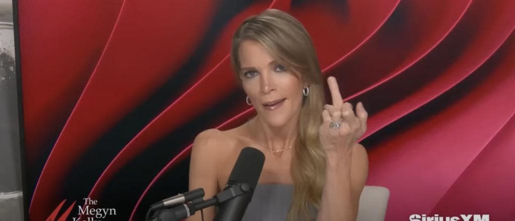 âYou Should Take It And Stuff Itâ: Megyn Kelly Names Major Celebs Among Biggest âLosersâ Of 2024 Election