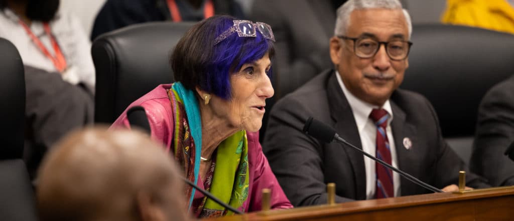 Meet The Purple-Haired âSwamp Creatureâ With Massive Sway Over The Federal Purse Strings