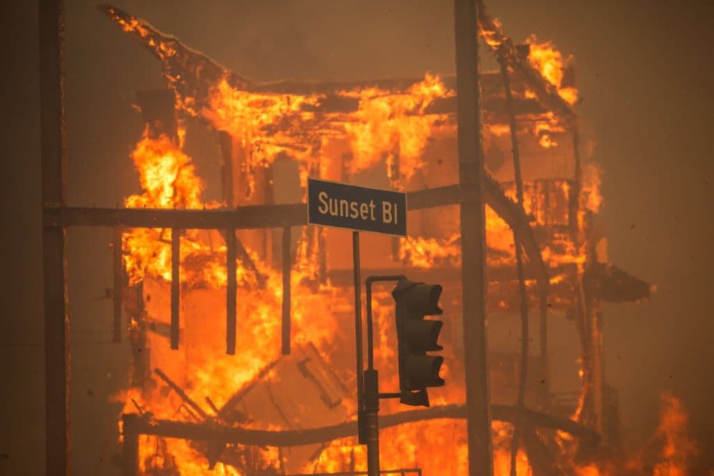 State Farm Cancelled Homeownersâ Policies In California Months Before Wildfires: Report