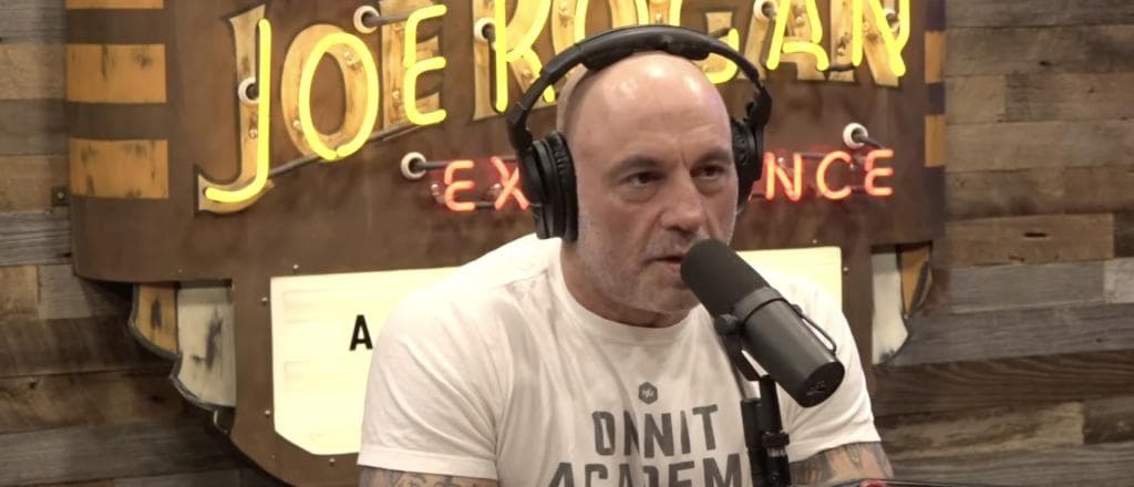 âBullsh*t Gameâ: Joe Rogan Rips Into People Pretending âEveryoneâs Hitlerâ