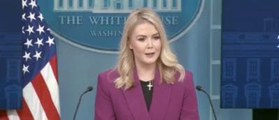 Karoline Leavitt Gives Simple Answer To Reporter Asking How Many Illegal Immigrants Have âCriminal Recordâ