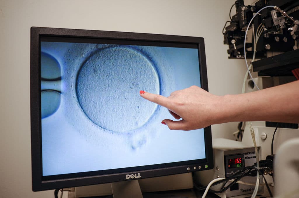 Some Pro-Life Advocates Speak Out Against Trumpās Move on IVF