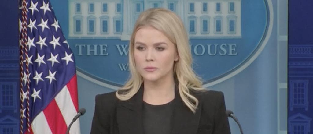 Doocy Asks Karoline Leavitt About Demsâ Violent Rhetoric Against Trump, Musk