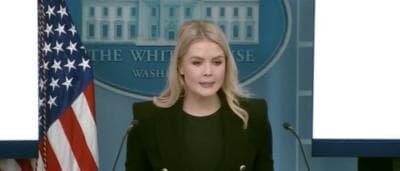 Karoline Leavitt Says Trump Isnāt Ruling Out Sending American Troops To Gaza
