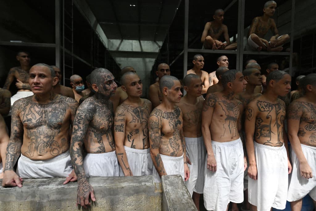 Top MS-13 Leader Arrested