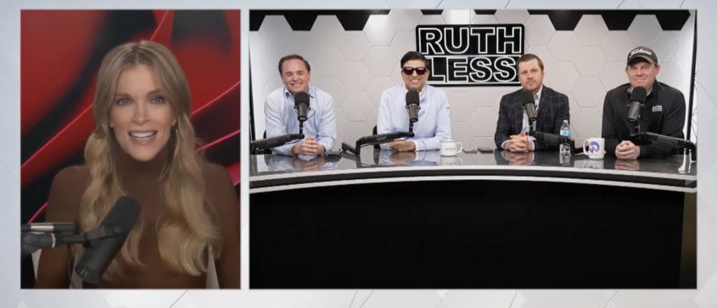 Megyn Kelly Names Freshman Rep âStone-Cold Assassinâ After Torching NPR CEO During Hearing