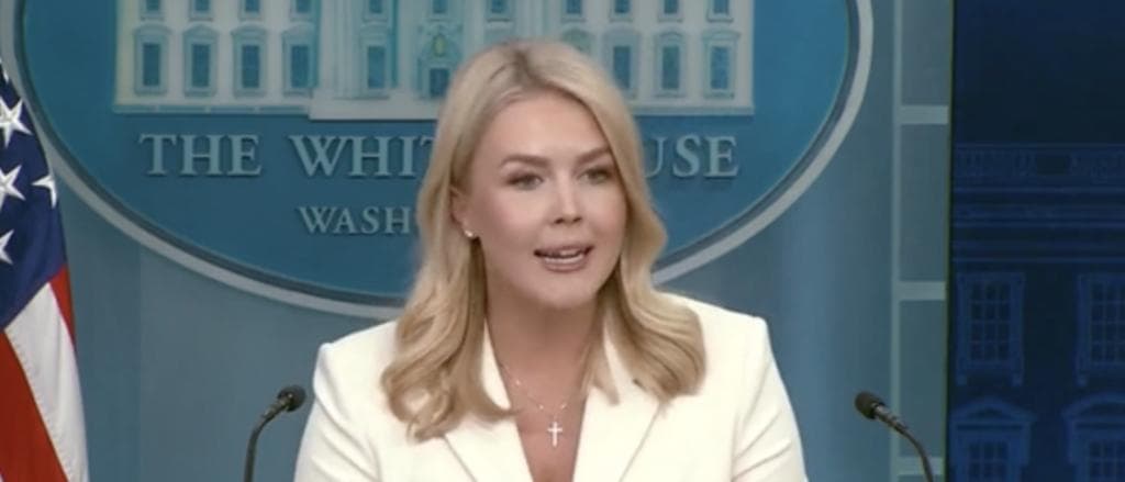 Karoline Leavitt Brings Receipts Of Dems Echoing Trumpâs Concerns About Trade Policy