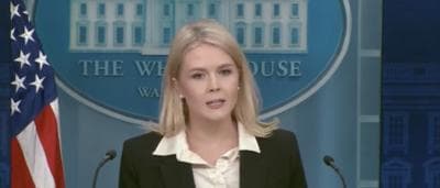 Karoline Leavitt Says Trump Wants To Primary GOP Reps Who Voted Against ‘Big, Beautiful Bill’