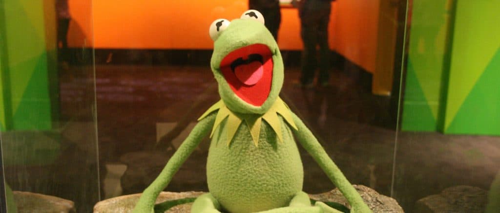 Student Outraged Over âCowardlyâ And âInoffensiveâ Commencement Speaker Kermit The Frog