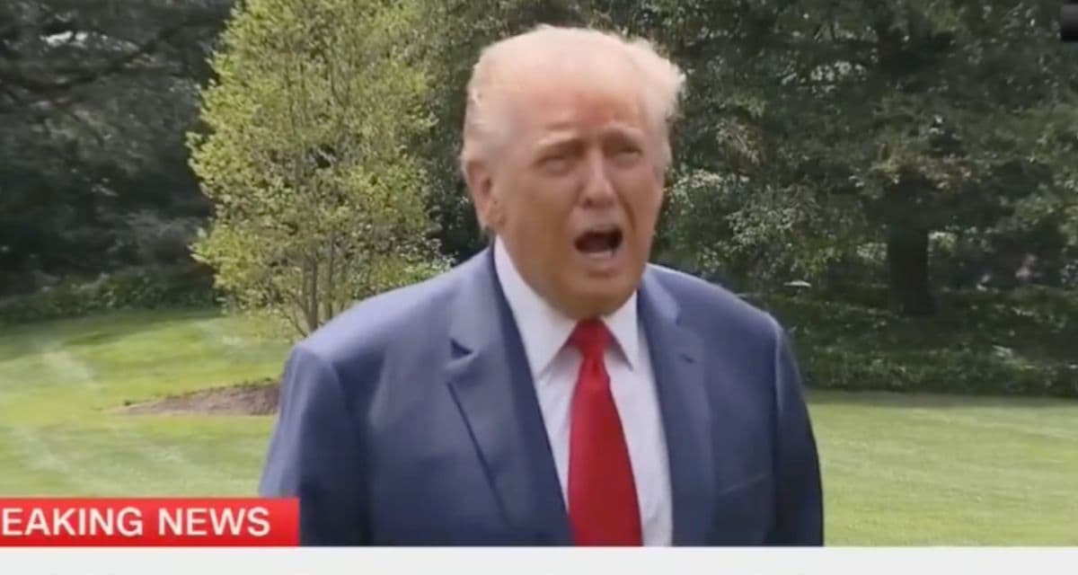 Trump Says He âWouldâ Arrest Newsom If He Were Homan