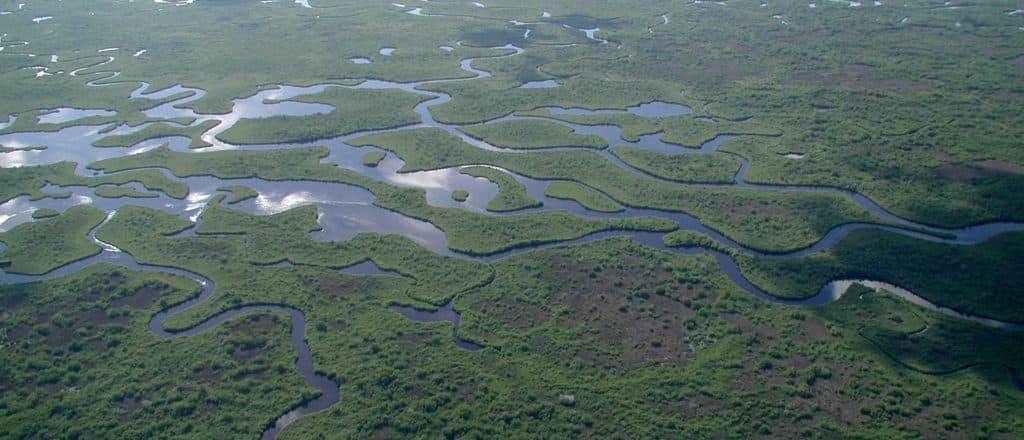 Trump Admin Green-Lights Migrant Detention Facility Guarded By Alligators