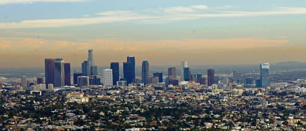 Meet The Criminal Illegal Migrants LA’s Rioting Over
