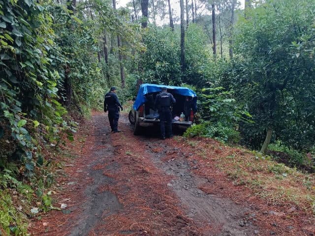 Mexican Mayor Exposes Cartel Training Camp with Colombian Terrorists