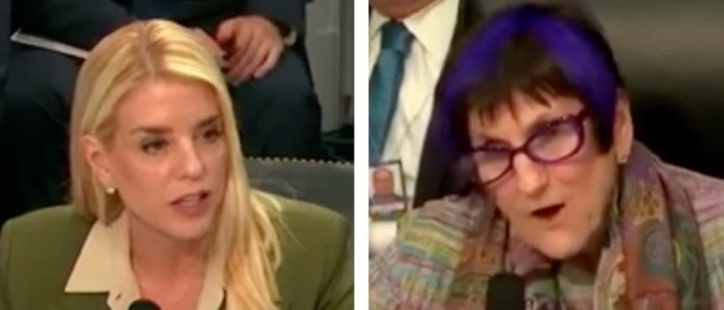âTell Me What The Numbers Are!â: Purple-Haired Dem Repeatedly Shouts Down Pam Bondi At Hearing