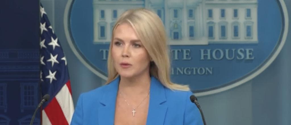âWhat A Stupid Questionâ: Karoline Leavitt Clashes With Reporter As She Attempts To Trip Her Up Over Riots