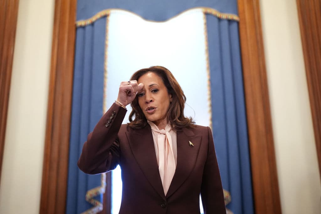 Kamala Harris Anniversary Post Raises Eyebrows