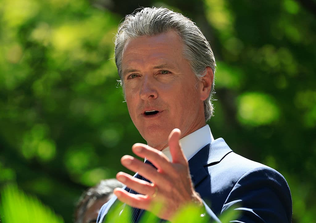 Newsom Considers Redistricting California Following Decision In Texas