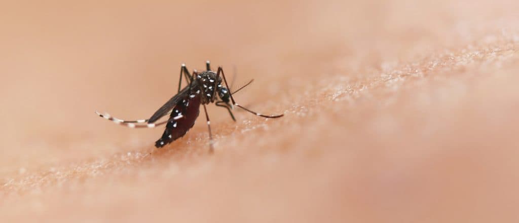 Another Virus Rattling China Puts America On Red Alert