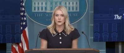 ‘Bring it On, Gavin!’: Karoline Leavitt Says Trump Admin Relishes Legal Fight With Newsom