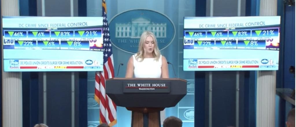 Karoline Leavitt Says DC Police Arrested MS-13 Member Amid Trumpâs Crime Crackdown