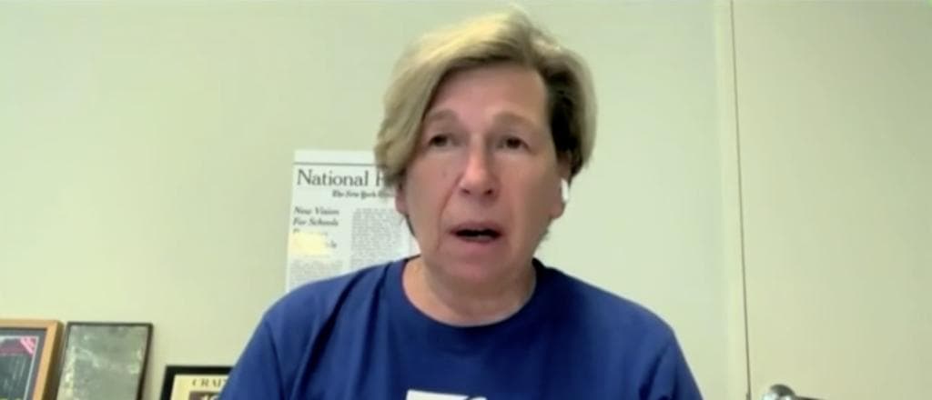 MSNBC Trots Out Randi Weingarten To Push For So-Called âAssault Weaponsâ Ban
