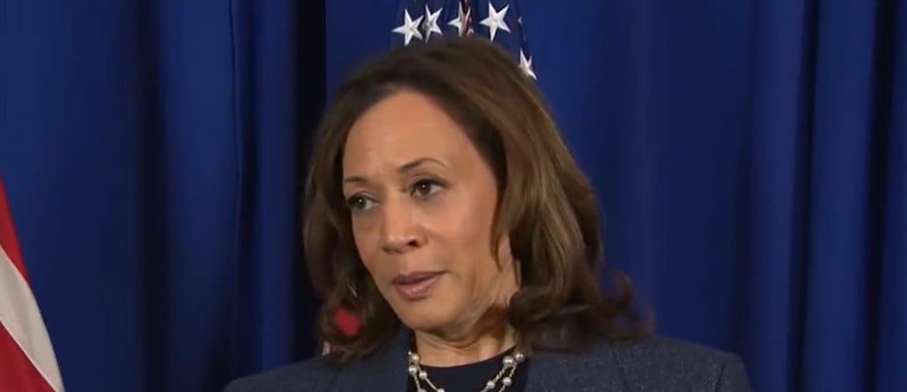 Kamala Says Trump Should Blame His Own âLax Gun Lawsâ For Second Assassination Attempt