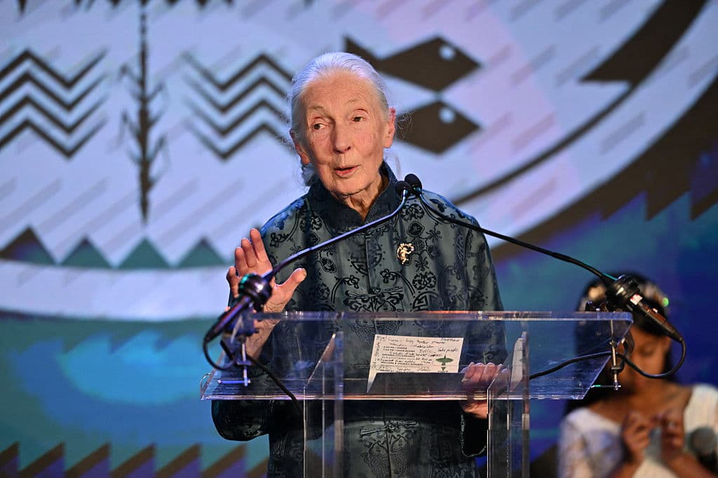 Goodall Wanted to Send Trump, Musk, Putin Into Space