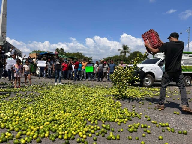 Cartel Protegido por Gobierno Extorsiona y Asesina a Citrícolas en Michoacán