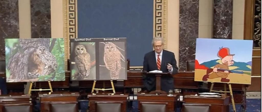âDEI For Owlsâ: John Kennedy, Flanked By Elmer Fudd Pic, Repeatedly Asks âWho Appointedâ Bureaucrats God