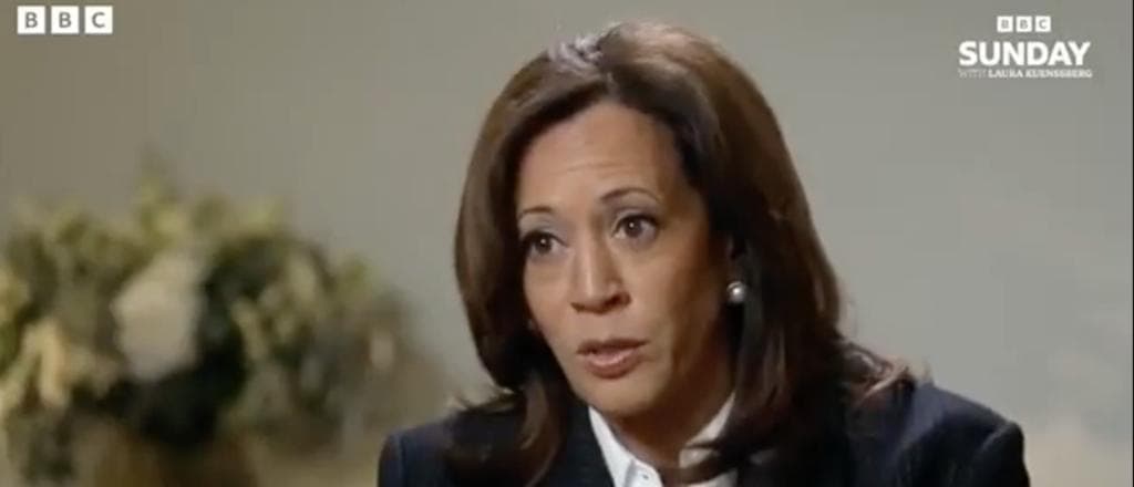 Kamala Harris Assures Interviewer Biden Was Fit To Be President — But Campaigning Was Different Story