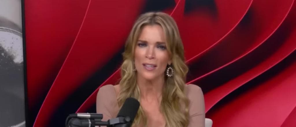 Megyn Kelly Excoriates Joy Reid As âInsane Lunaticâ Whoâs âExtremely Racistâ