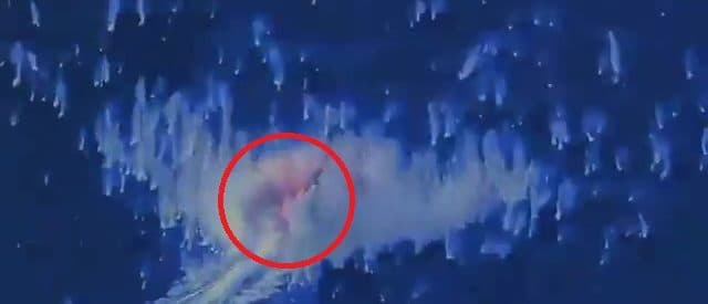 Trump Admin Blows Up Another āNarco-Traffickingā Boat Near Venezuela