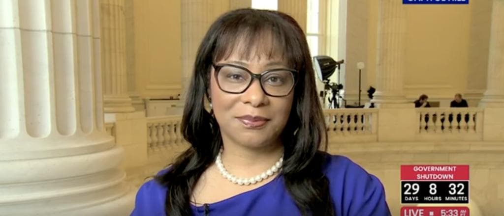 Watch What Happens When Democrat Repâs Talking Point Blows Up In Her Face