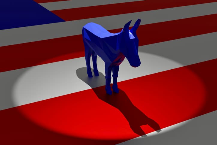 Yikes: 3 Word Answer in Poll for Who Leader of Dem Party Is