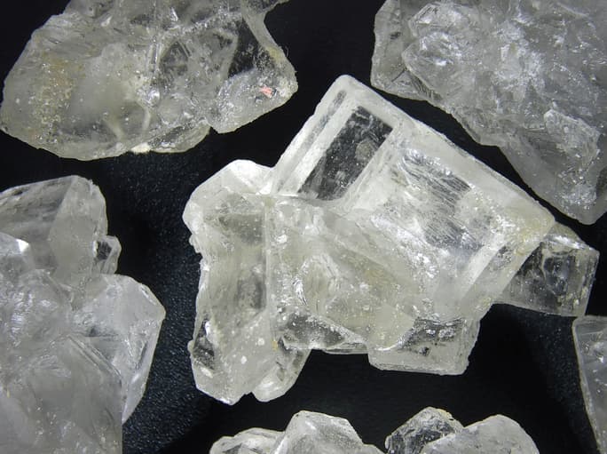 Thai Rangers Bust Wildlife Smugglers, Seize Meth Alongside 81 Macaques
