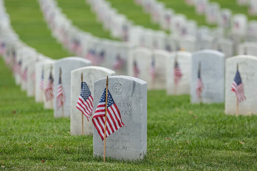Veterans Day Celebrations Disrupted Nationwide Amid Record Federal Shutdown