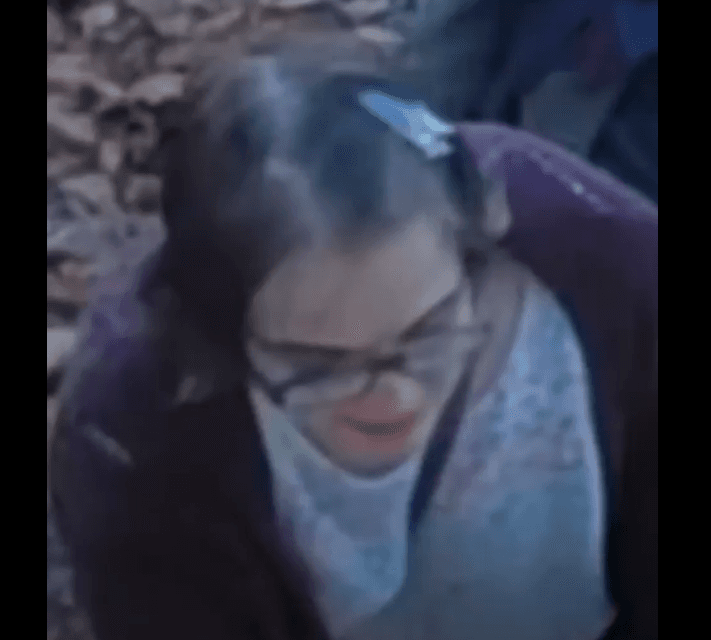 Wisconsin Woman Who Stabbed Classmate to Please Slender Man Captured After Escaping Group Home