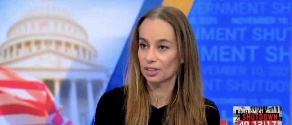 Dem Strategist Says Chuck Schumer Is āNo Longer Capableā Of Leading Democrats