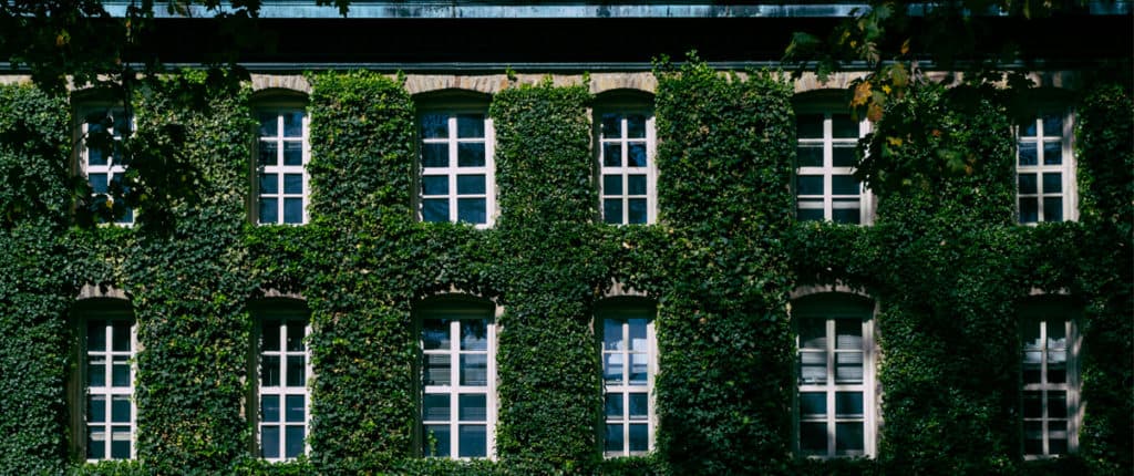 Ivy League University Hit With Cyberattack Affecting Thousands Of Personal Records