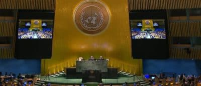 SAMUEL PETERSON: Human Prosperity, Carbon Taxes, And The UN