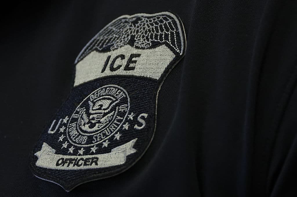 ICE Nabs Convicted Sex Offender in Minnesota Crackdown