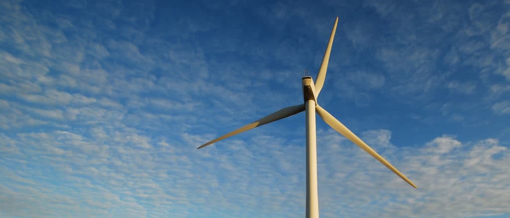 Clinton-Appointed Judge Rules Trump Cannot Block New Wind Farms
