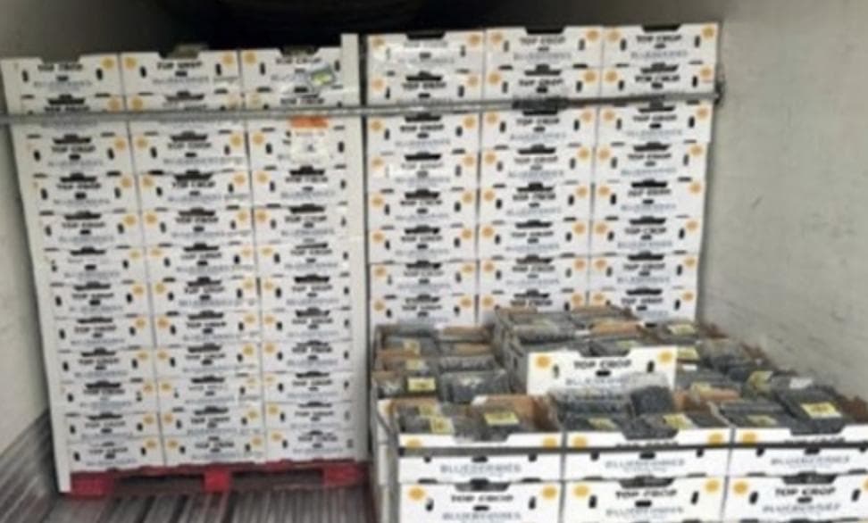 Authorities Allege Man Stole 33,000 Pounds of Frozen Snow Crab and Almost Half A Million In Designer Cologne