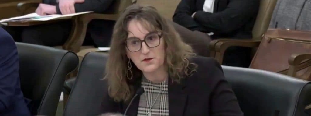 Trans Lawmaker Wants You To Believe Porn Sites Are âEducationalâ For âQueer Kidsâ