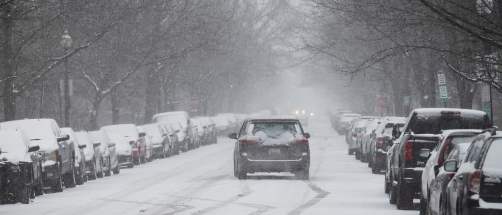 Trash And Wood Accounted For Major âRenewable Energyâ Share During Winter Storm, Reports Show