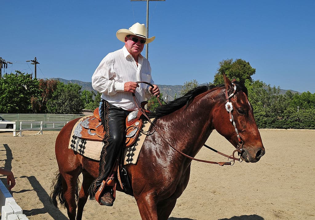 William Shatner Faces Surgery After Horseback Fall