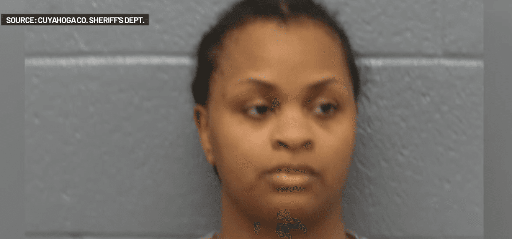 Suitcases in Ohio Playground Lead to Mother’s Murder Charges