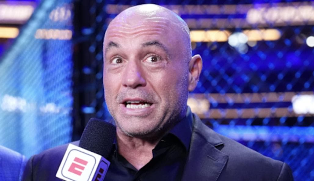 Joe Rogan Discusses Jim Crow Voter ID Comparison