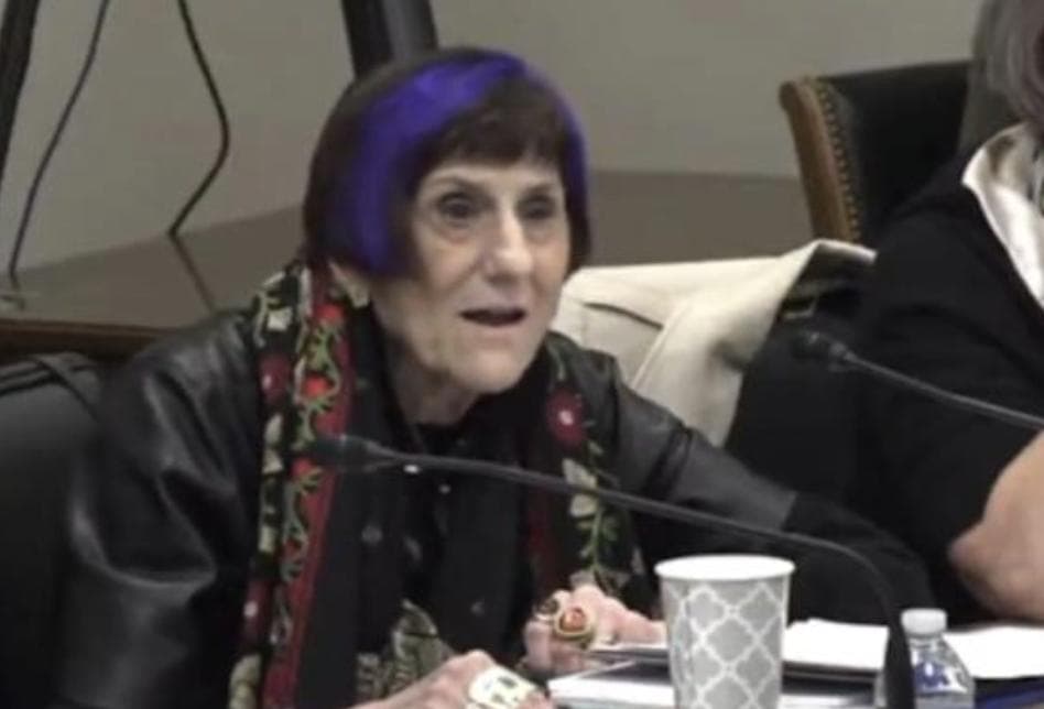 Democrat Lashes Out When Her Ignorance Is Put On Display