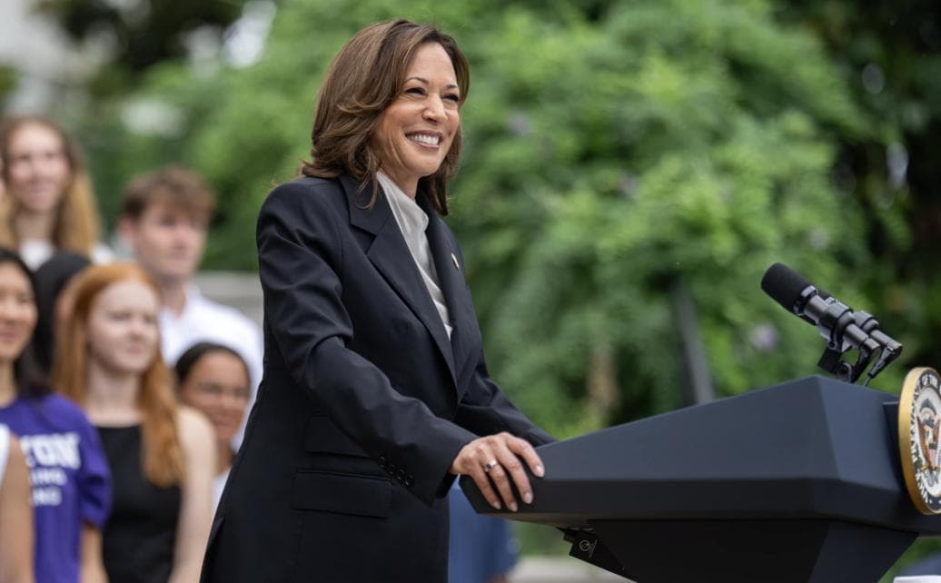 Kamala Harris Rallies Democratic Donors